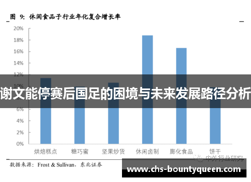 谢文能停赛后国足的困境与未来发展路径分析
