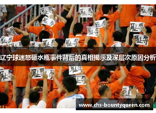 辽宁球迷怒砸水瓶事件背后的真相揭示及深层次原因分析