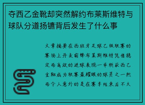 夺西乙金靴却突然解约布莱斯维特与球队分道扬镳背后发生了什么事